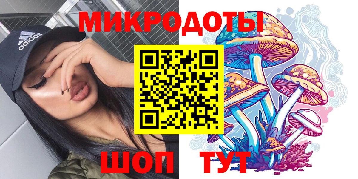 Псилоцибиновые грибы мицелий Кунгур