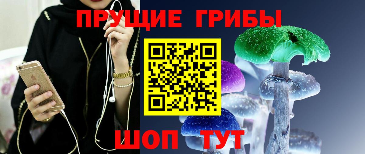Кунгур  Галлюциногенные грибы GOLDEN TEACHER  Вход с VPN 